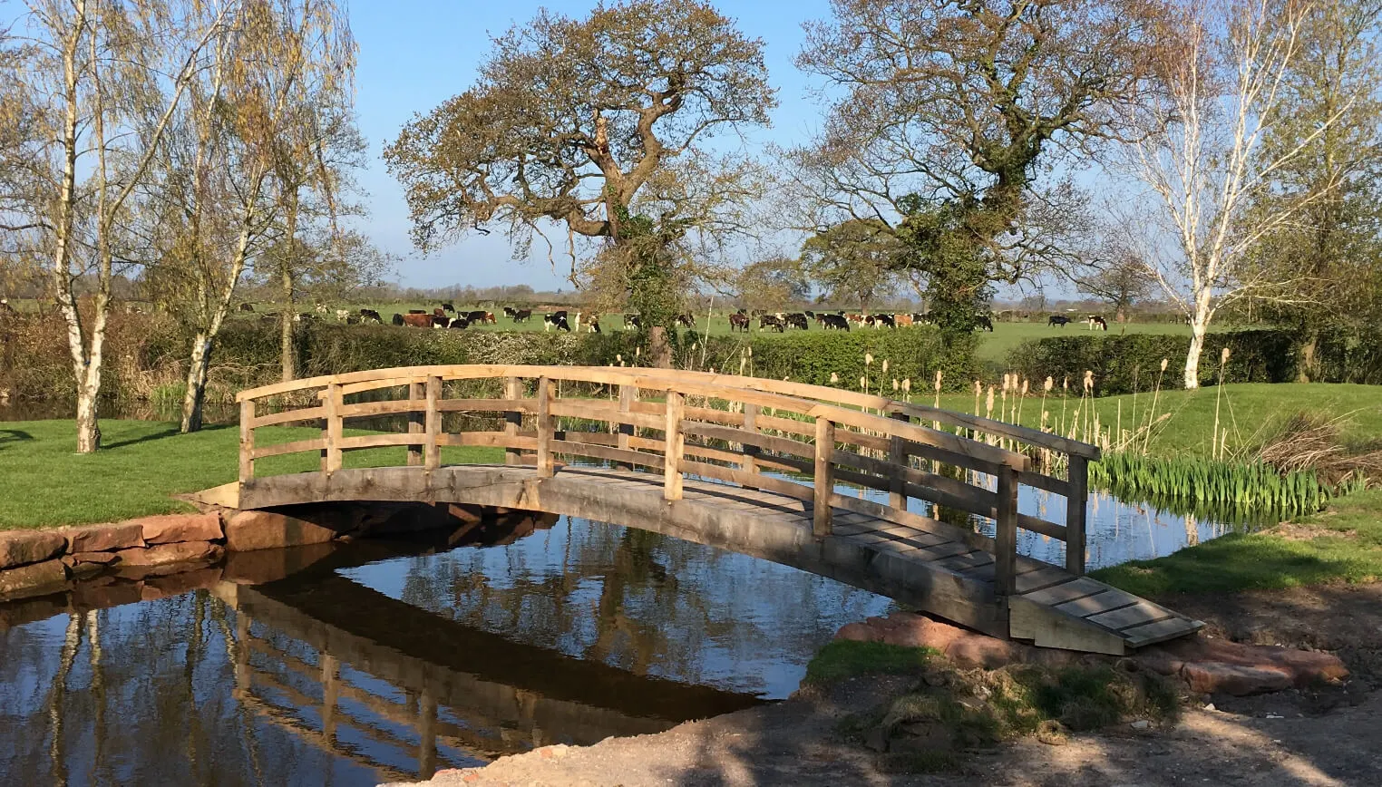 Bespoke Bridge
